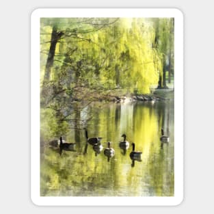 Geese - Geese by Willow Sticker